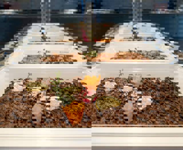 Astirodysseus Dining 3289