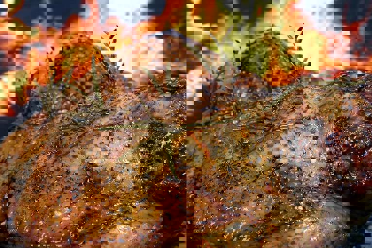 Choirosfagia in Pyli