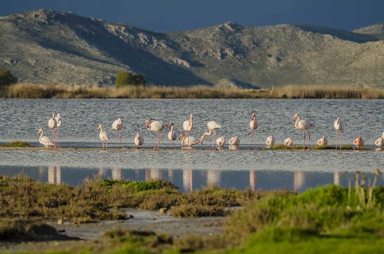 Kos Tigaki Salt Lake