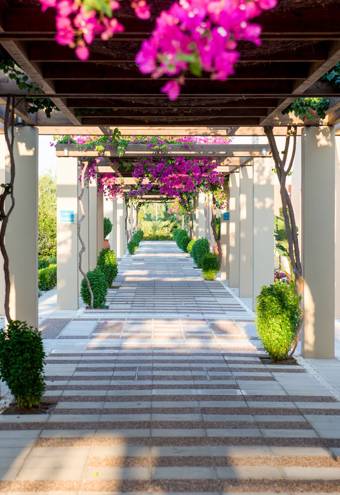 Astir Odysseus Hotel Kos 6530