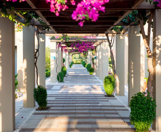 Astir Odysseus Hotel Kos 6530