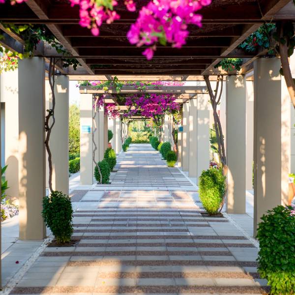 Astir Odysseus Hotel Kos 6530