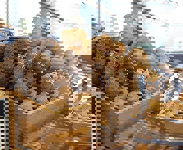 Astirodysseus Dining 3262