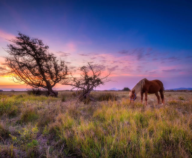 Astir Odysseus Kos Alikes Salt Lake Tigaki