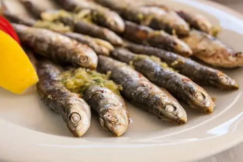 Sardines